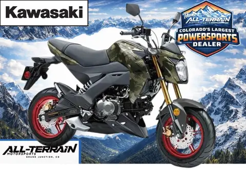 2025 Kawasaki Z125 PRO