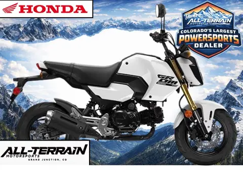 2025 Honda Grom™ Base