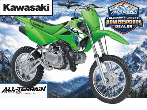 2026 Kawasaki KLX® 110R L