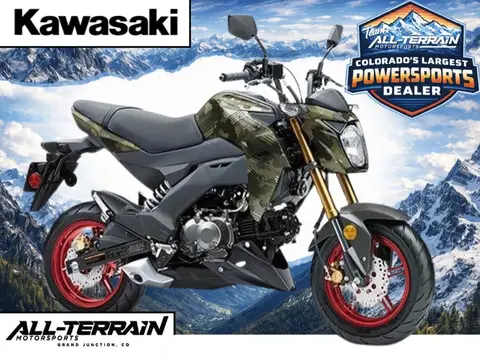 2025 Kawasaki Z125 PRO