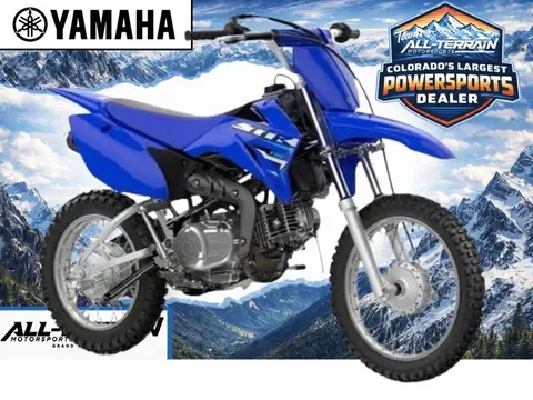2026 Yamaha TT-R 110E