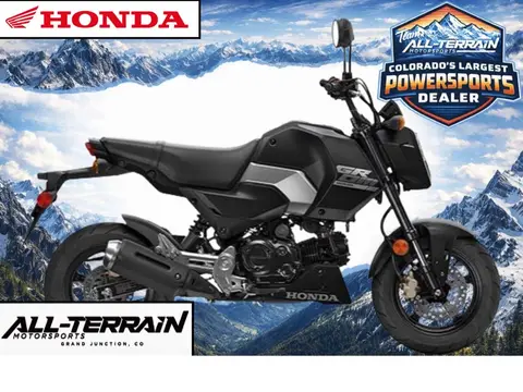 2026 Honda Grom™ SP