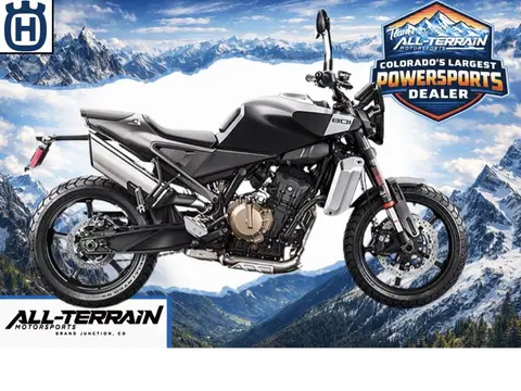 2025 Husqvarna Motorcycles Svartpilen 801